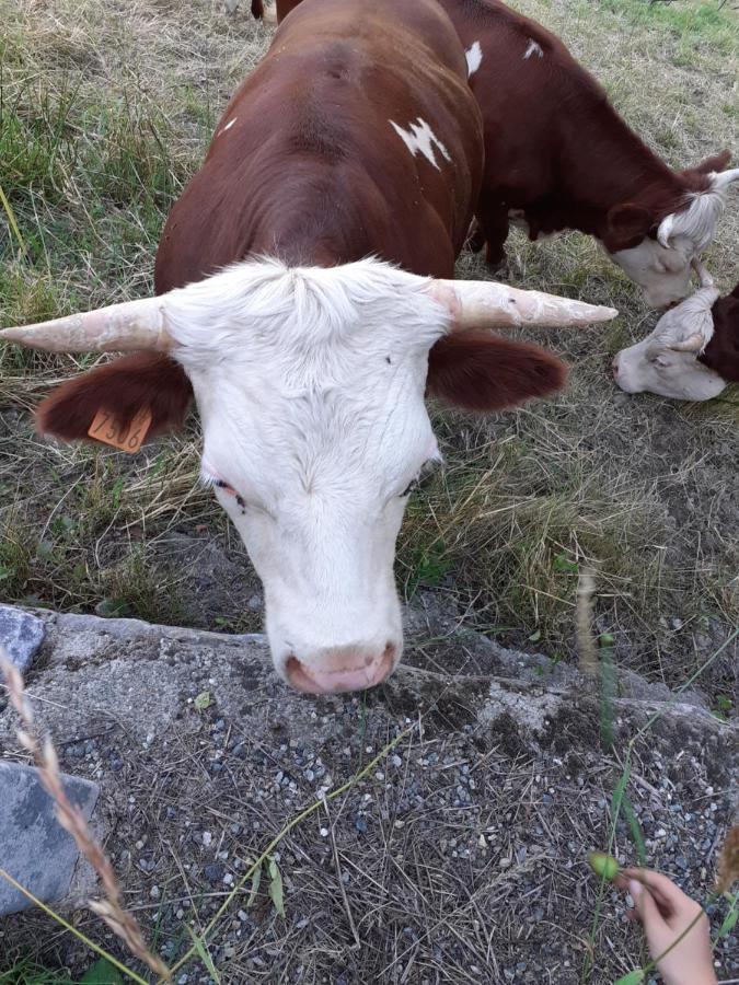 Appartamento Signorile Con Giardino Aosta Dış mekan fotoğraf