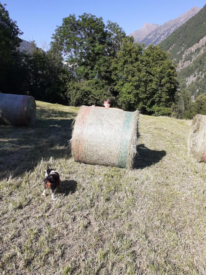 Appartamento Signorile Con Giardino Aosta Dış mekan fotoğraf
