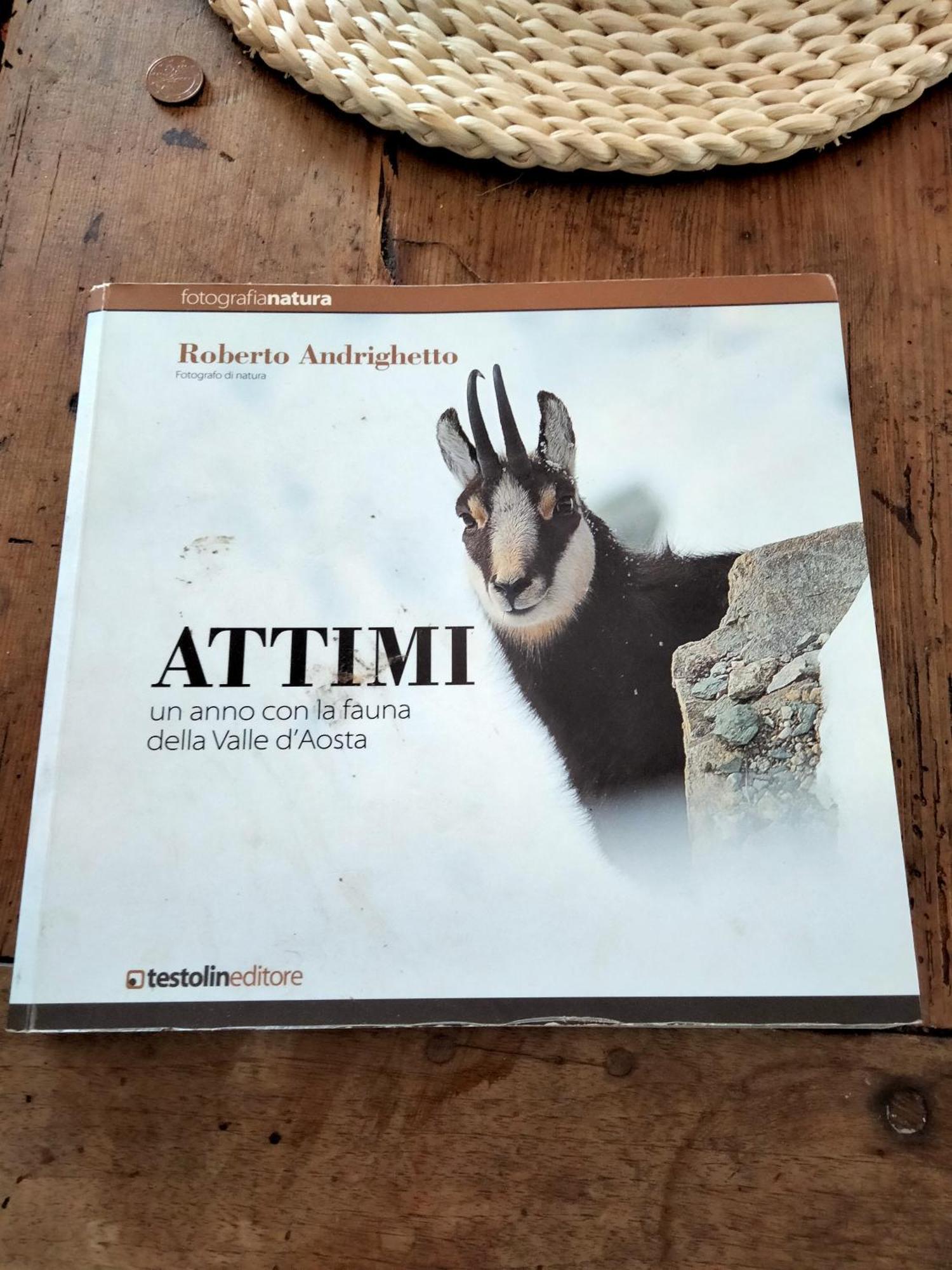 Appartamento Signorile Con Giardino Aosta Dış mekan fotoğraf