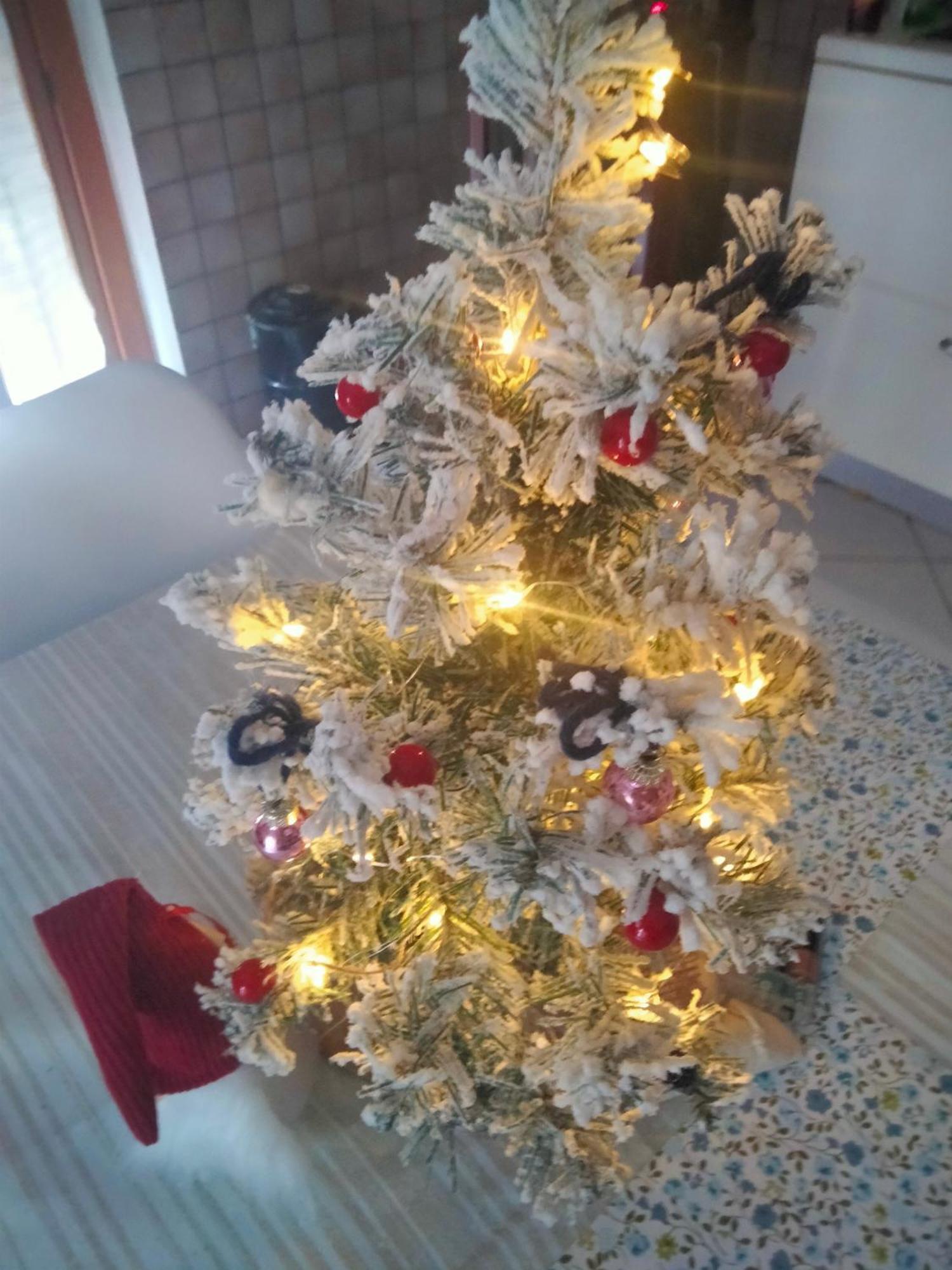 Appartamento Signorile Con Giardino Aosta Dış mekan fotoğraf