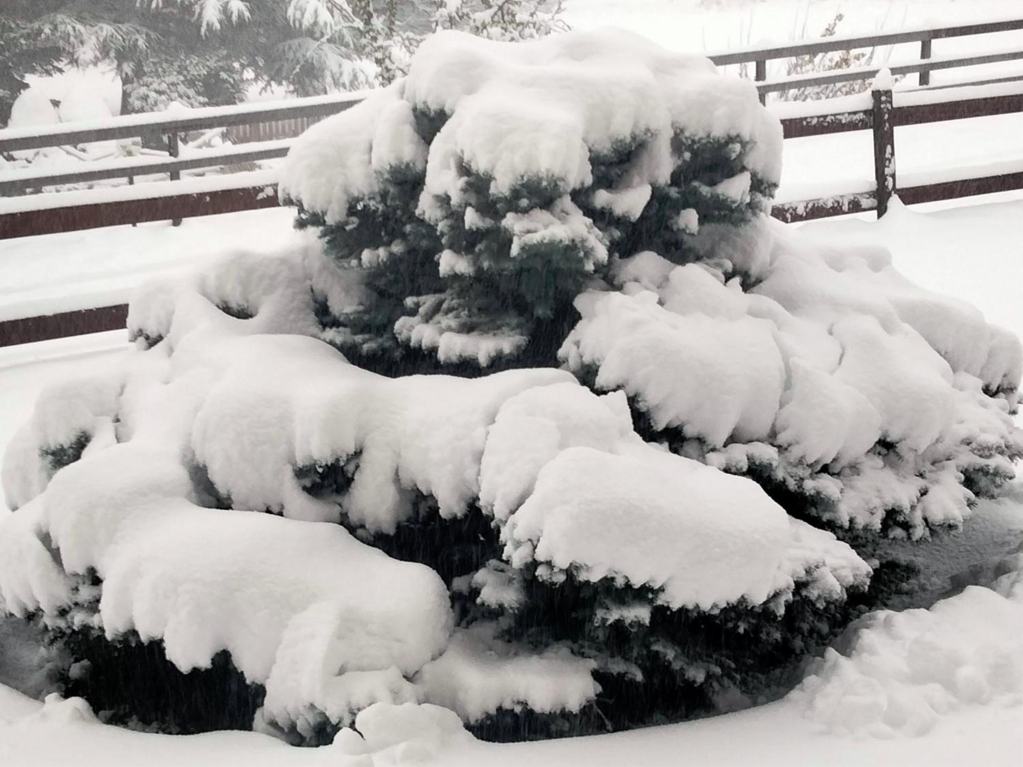 Appartamento Signorile Con Giardino Aosta Dış mekan fotoğraf