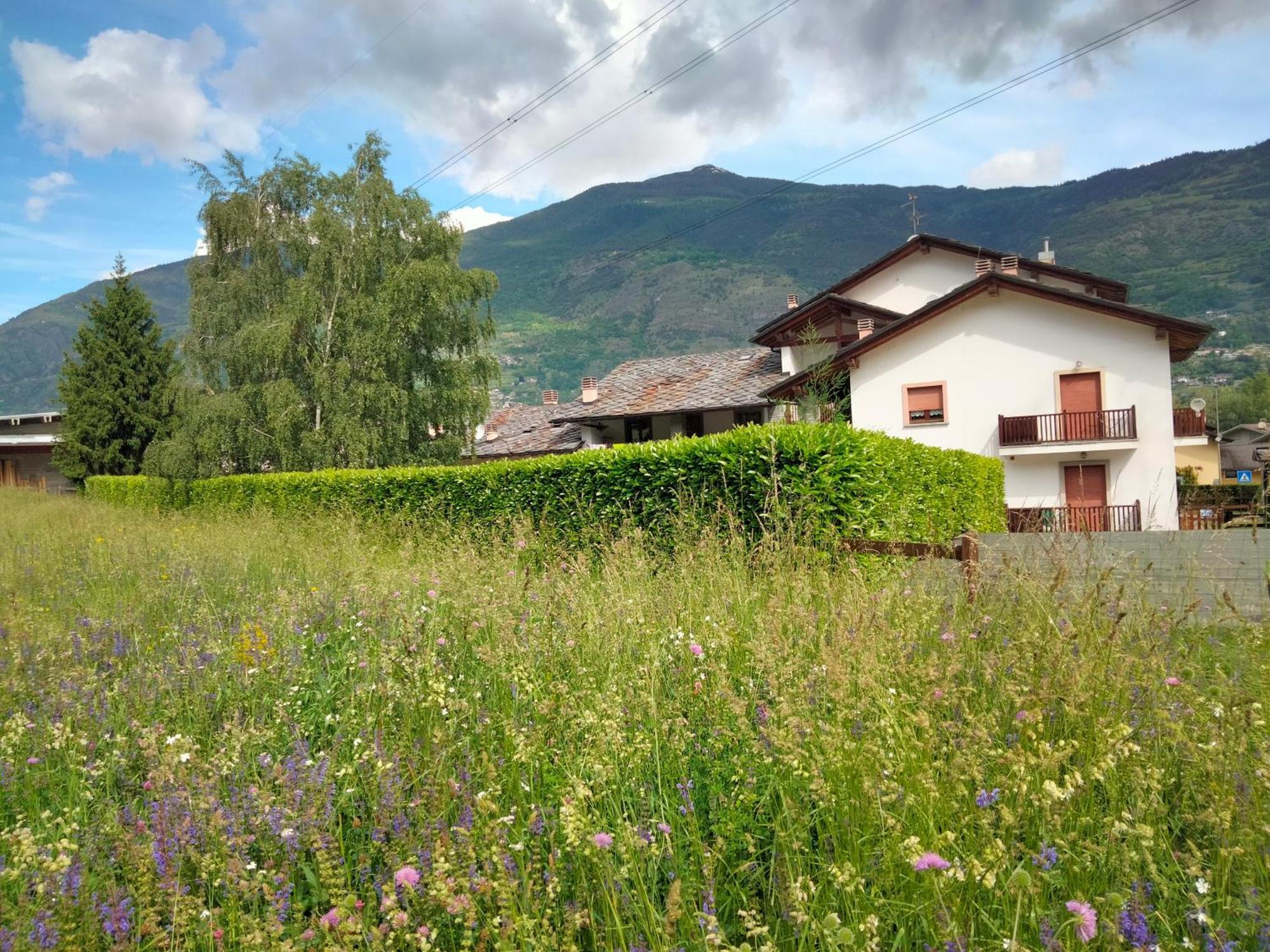 Appartamento Signorile Con Giardino Aosta Dış mekan fotoğraf
